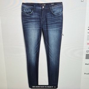 Judy Blue Peter Skinny Jean